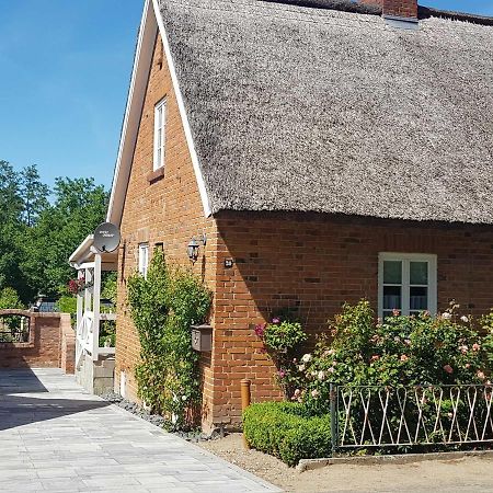 Ferienresidenz Naturoase Krakow am See Εξωτερικό φωτογραφία