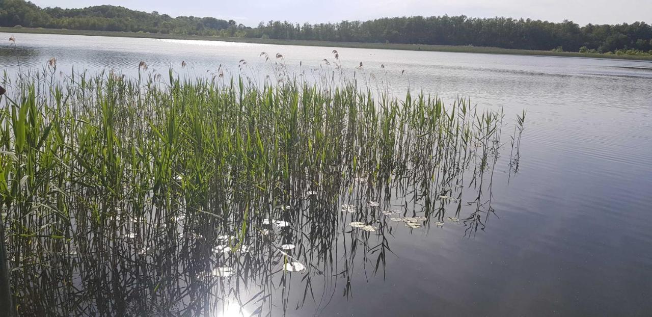Ferienresidenz Naturoase Krakow am See Εξωτερικό φωτογραφία