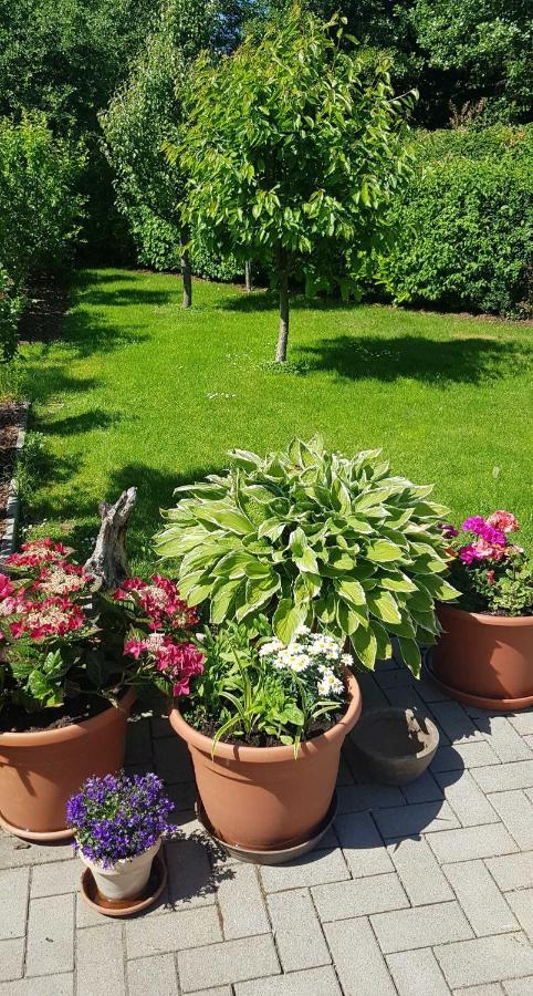 Ferienresidenz Naturoase Krakow am See Εξωτερικό φωτογραφία